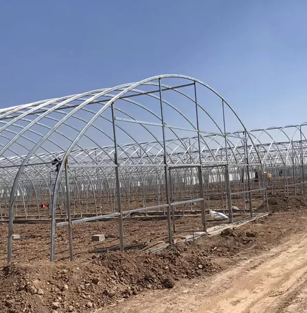 Píopaí Cheaptha Teasa