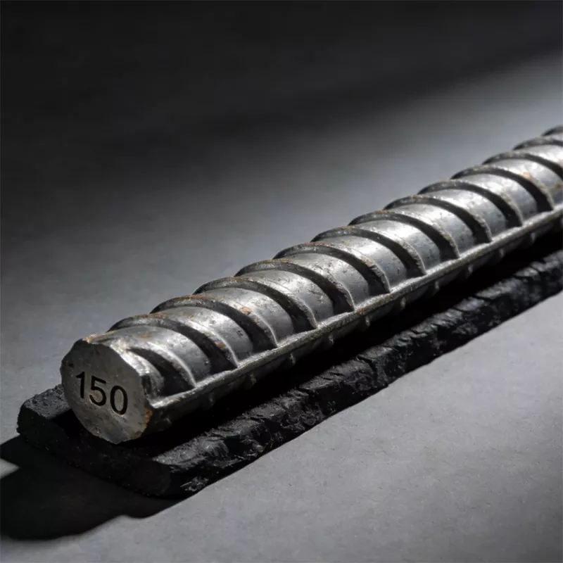 Barra deformed in Coille